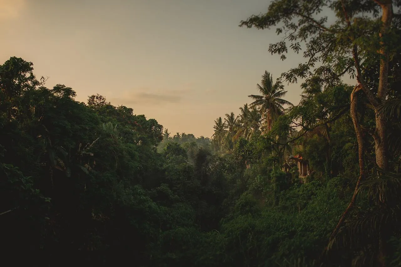 B Saya Villas Ubud 3*,  Indonésie